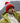 Beechfield Retro Ski Beanie