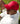 Beechfield Ultimate 5 Panel Cap